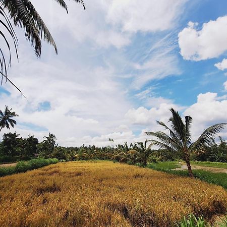 Bunga Maliq Bungalow Lombok Tetebatu Bagian luar foto