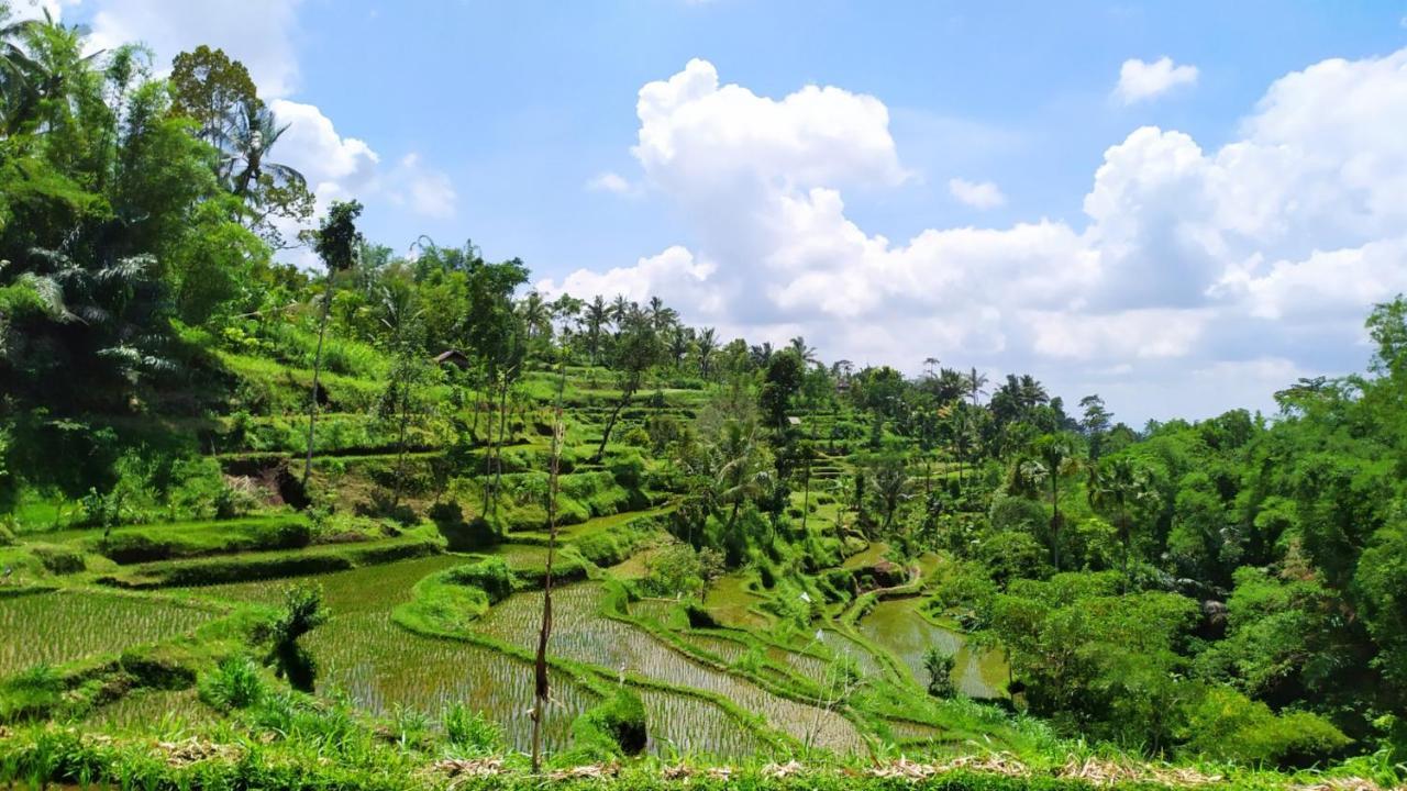 Bunga Maliq Bungalow Lombok Tetebatu Bagian luar foto