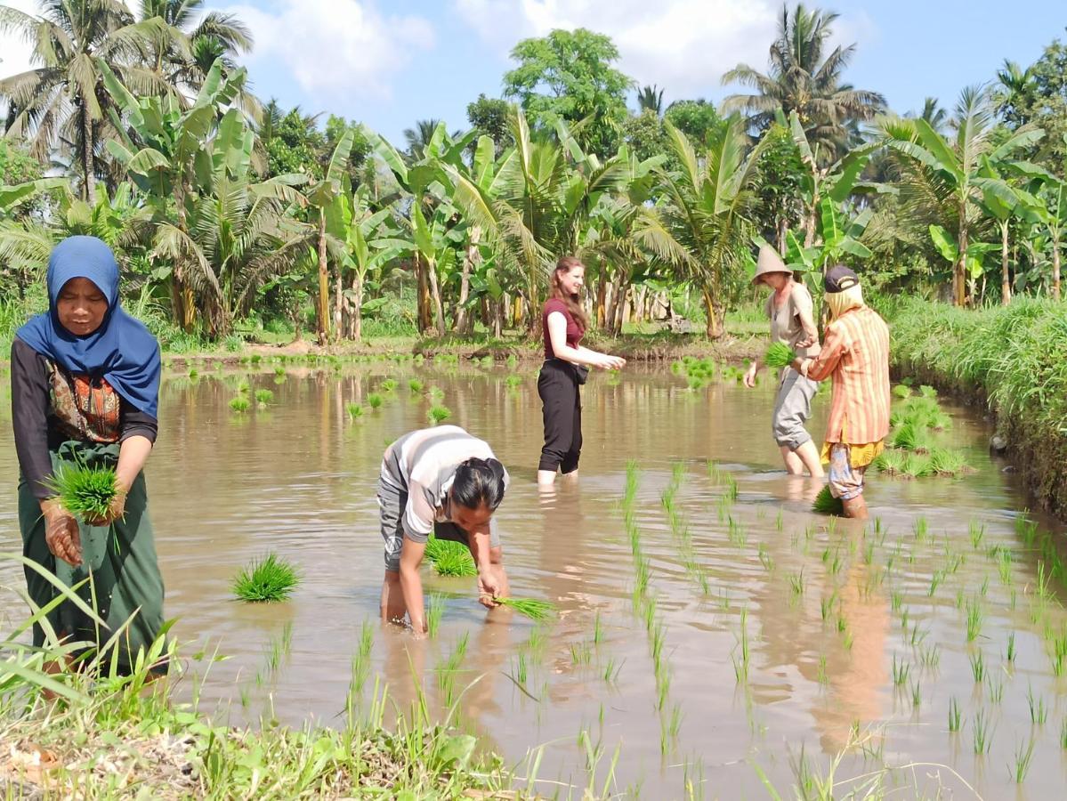 Bunga Maliq Bungalow Lombok Tetebatu Bagian luar foto