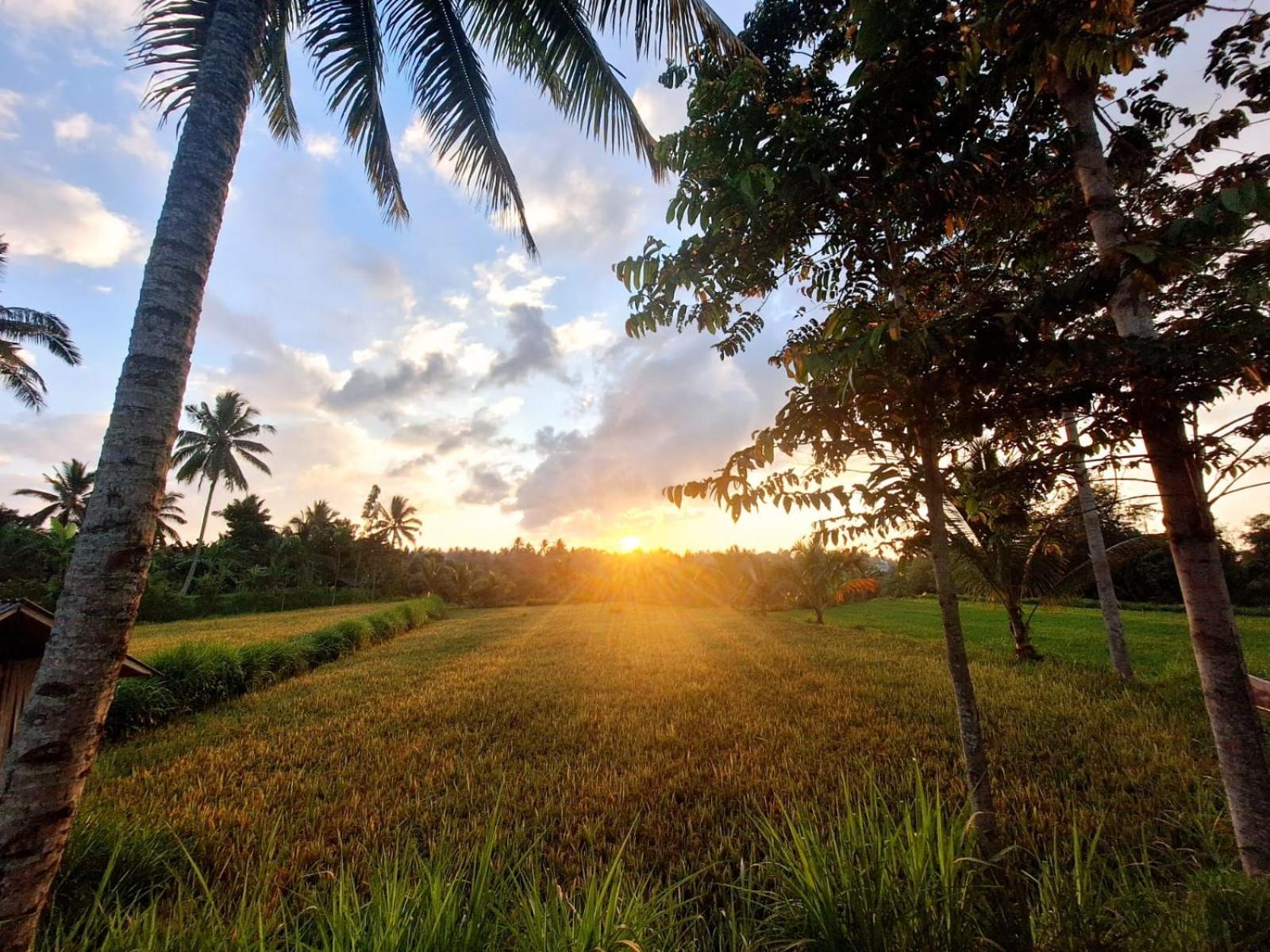 Bunga Maliq Bungalow Lombok Tetebatu Bagian luar foto