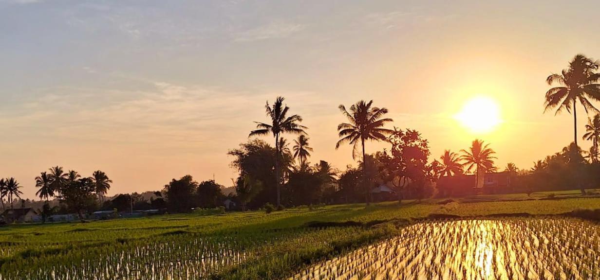 Bunga Maliq Bungalow Lombok Tetebatu Bagian luar foto