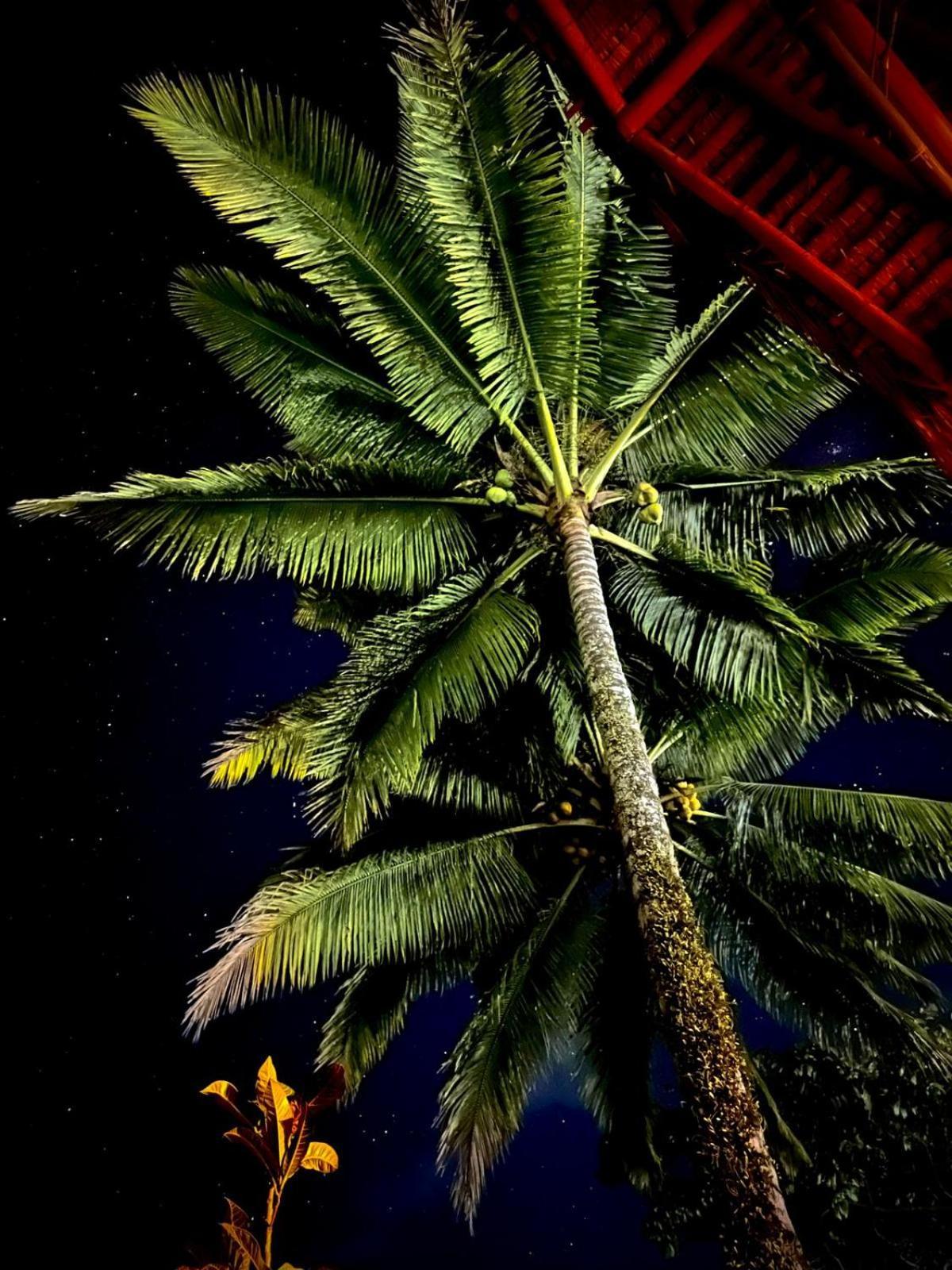 Bunga Maliq Bungalow Lombok Tetebatu Bagian luar foto