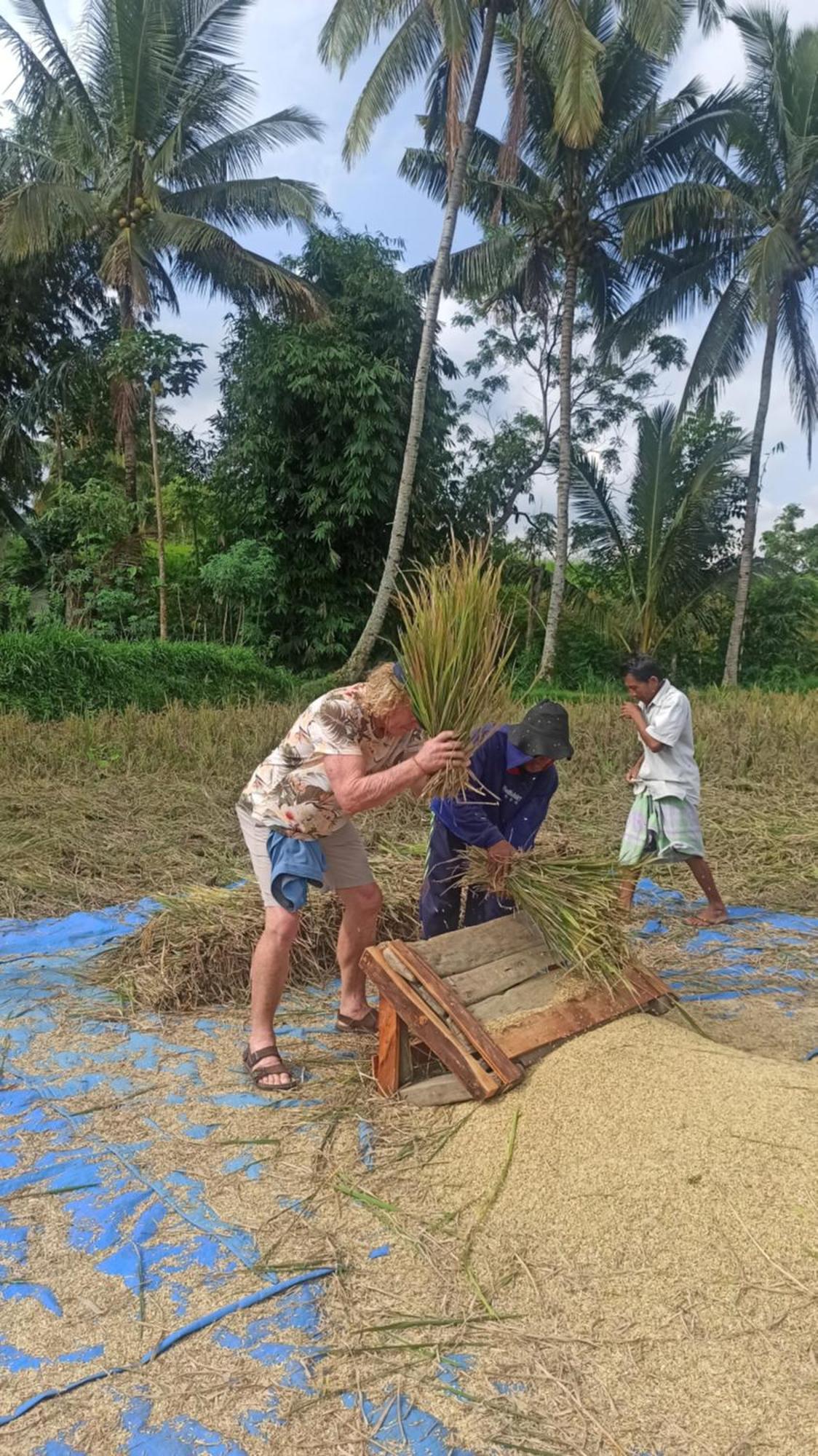 Bunga Maliq Bungalow Lombok Tetebatu Bagian luar foto