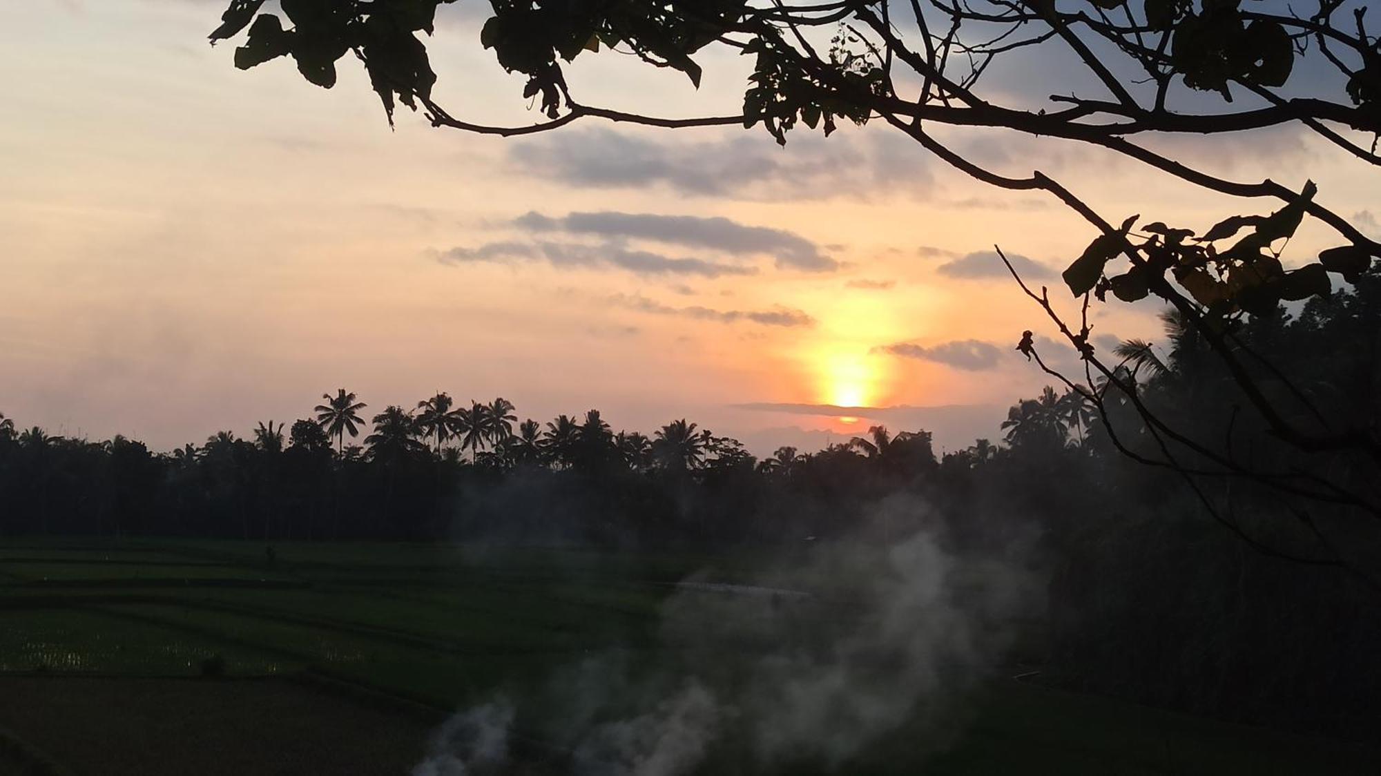 Bunga Maliq Bungalow Lombok Tetebatu Bagian luar foto