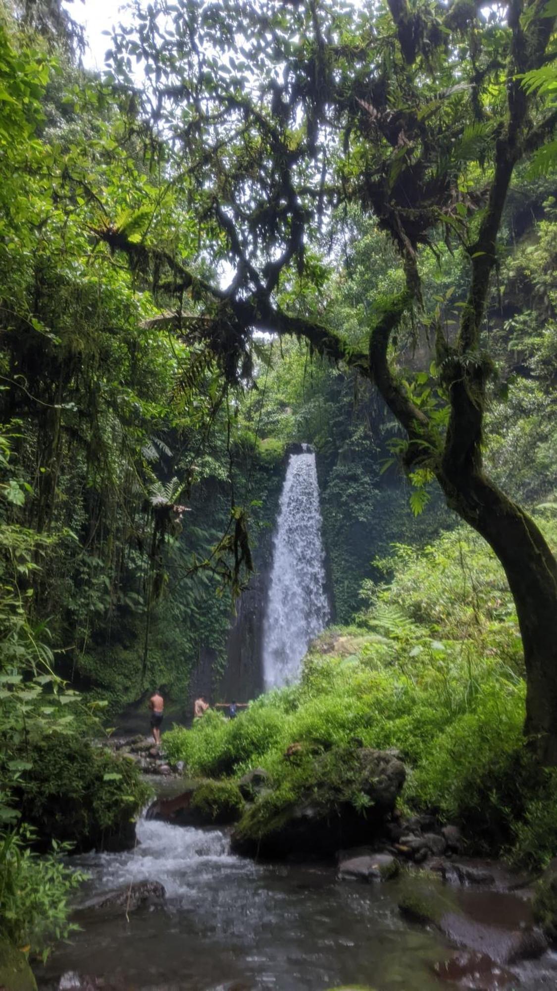 Bunga Maliq Bungalow Lombok Tetebatu Bagian luar foto