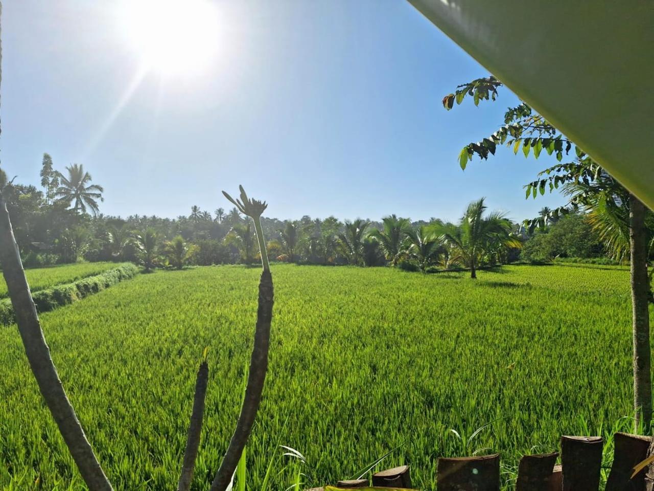 Bunga Maliq Bungalow Lombok Tetebatu Ruang foto