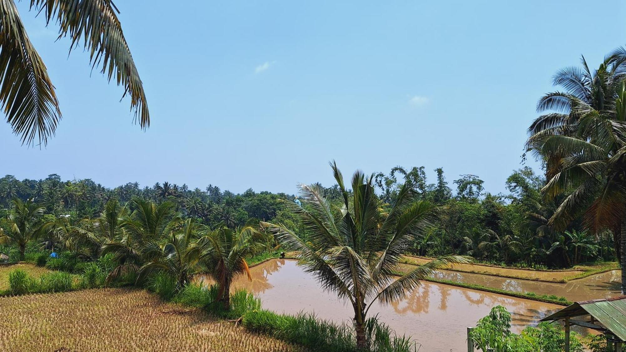 Bunga Maliq Bungalow Lombok Tetebatu Bagian luar foto