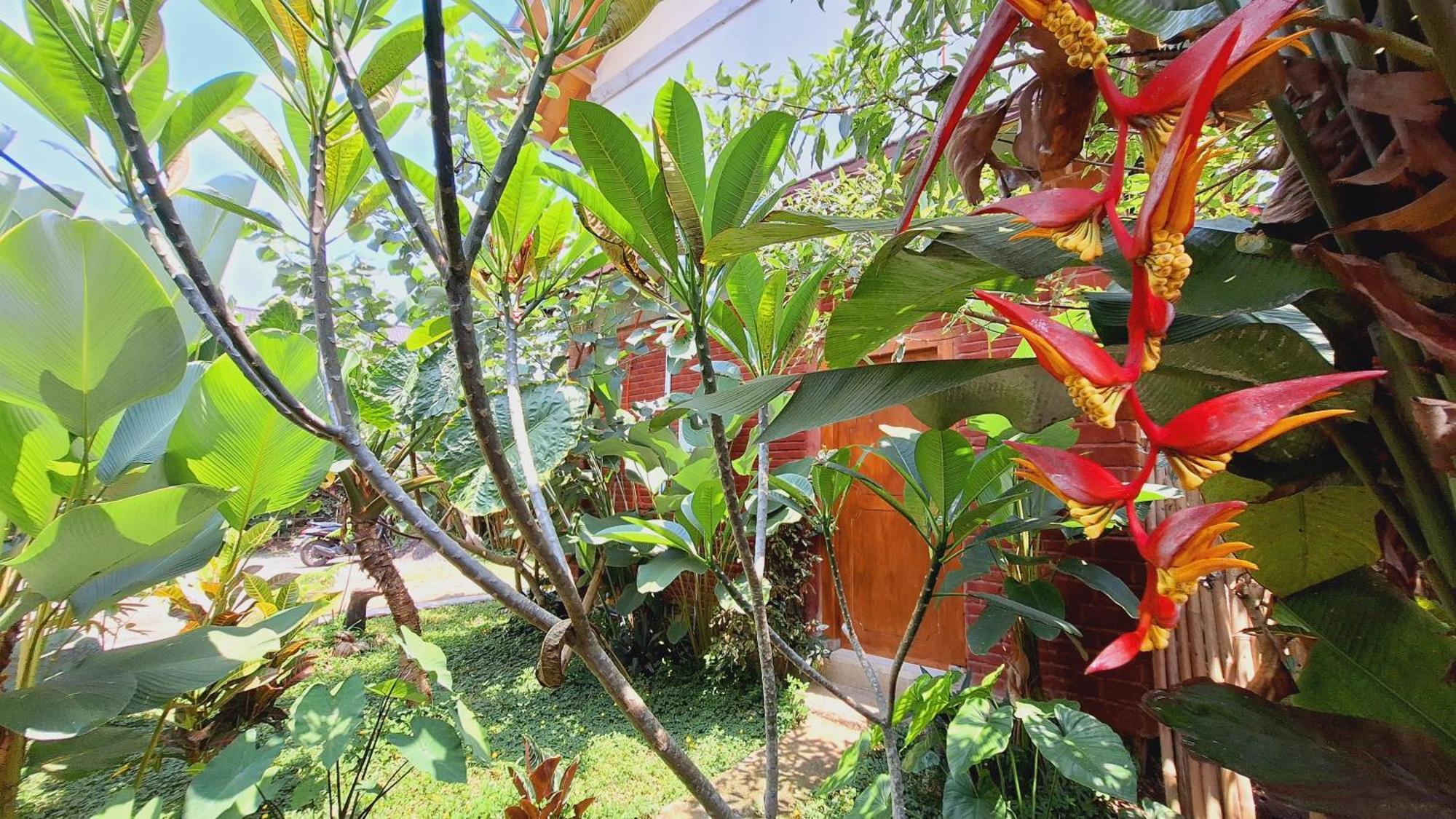 Bunga Maliq Bungalow Lombok Tetebatu Ruang foto